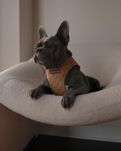 Step in Dog Cat Harness Lightweight Breathable Mesh Soft Padded Pet Vest Vegan Leather Choke Free Escape Proof for Small Medium Dogs (Tan Brown, Small) - color: Tan Brown, size: Small: Neck=9.4-11.4''/Chest=14.5-17''