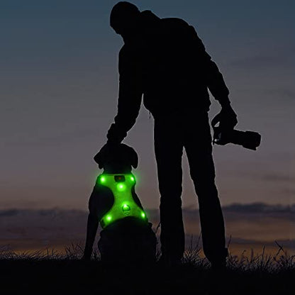 LED Dog Harness - Safety Light Up Dog Vest, No-Pull Dog Harness, Rechargeable Glowing Pet Harness for Dogs Nighttime Walking (Green, Medium) - color: Green, size: Medium