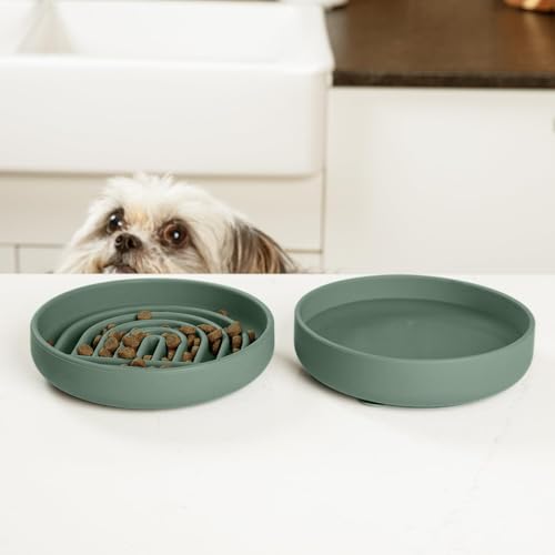 Should We Go? Slow Feeder for Dogs & Cats, The Slowdown Bowl Silicone Slow Eating Mealtime Solution with Modern Lick Mat Design, Reduces Gulping, Fits 1 Cup, 6” Across x 1.25” Tall, Small-Spruce - color: Spruce, size: Small (6” Across x 1.25” Tall)