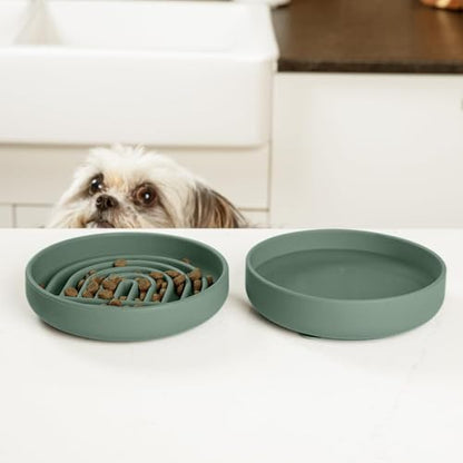 Should We Go? Slow Feeder for Dogs & Cats, The Slowdown Bowl Silicone Slow Eating Mealtime Solution with Modern Lick Mat Design, Reduces Gulping, Fits 1 Cup, 6” Across x 1.25” Tall, Small-Spruce - color: Spruce, size: Small (6” Across x 1.25” Tall)