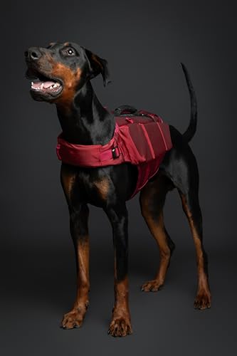 NOAH & PAW Dog Life Jacket, Human Standards Lifejacket Design, Dog Life Vest for Swimming and Boating, 3X Foam Support for Max Floating, Breathable Mesh, Salvavidas para Perros, Size M - size: M
