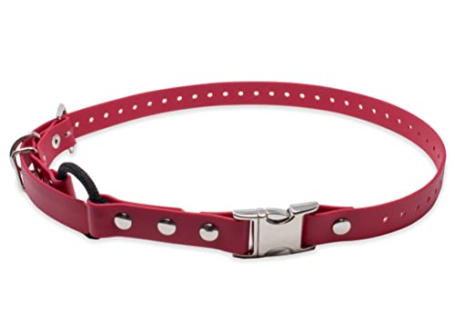Educator 3/4-Inch Dog Training Collar Strap–ONLY Fits ME-300, ET-300/400, EZ-900, PE-900 & PG-300 Receivers – NOT Compatible with FE-580, ET-800 or UL-1200–Quick Snap Biothane Bungee Collar, Red - color: Red