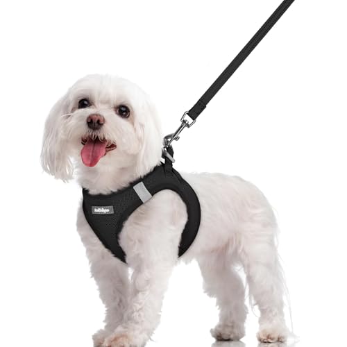 rabbitgoo Dog Harness Small Sized and Leash Set, Step in Soft Light Puppy Vest, Breathable Mesh Pet Harness, Reflective for Safe Easy Walking, Black M - color: Black, size: M (chest: 16 - 18.5")
