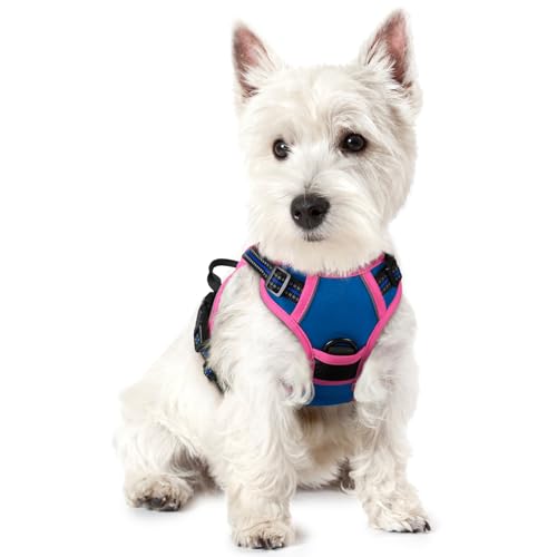 rabbitgoo Dog Harness No Pull with 2 Leash Clips, Adjustable Soft Padded, Reflective Oxford No Choke Pet Vest with Easy Control Handle for Large Dogs, Blue & Hot Pink, XS - color: Blue & Hot Pink, size: X-Small