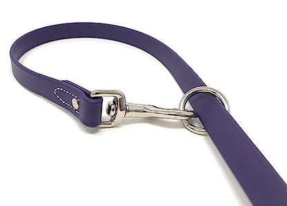 Regal Dog Products Waterproof Leash – 5 ft. Purple Dog Leash with Easy to Use Collar Hook, Lightweight, and Proof Training Pet Lead with Vinyl-Coated Webbing for Small, Medium, Large, or XL Dogs - color: Purple