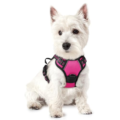 rabbitgoo Dog Harness No Pull with 2 Leash Clips, Adjustable Soft Padded, Reflective Oxford No Choke Pet Vest with Easy Control Handle for Puppy, Hot Pink, XS - color: Hot Pink, size: X-Small