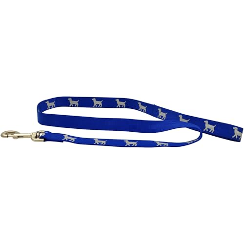 Jeffers Reflective Glow in the Dark Nylon Dog Leash 1" x 4' – Durable Webbing Leash with Safety Stripe, Metal Clip, Walking, Training, Running, Outdoor Use for Dogs Puppies Pets - Blue