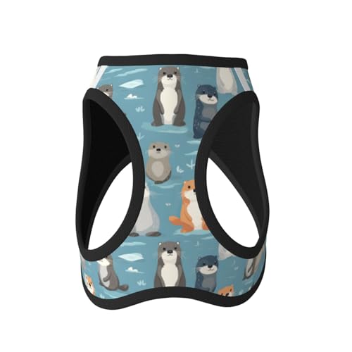 Otters Pet Harness Escape Proof Dog Harness Adjustable Mesh Padded Reflective Dog Vest Harness and Leash Set Small - color: Style 3, size: Small