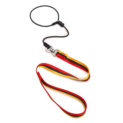 4 FT Heavy Duty Dog Leash with 2 Padded Handles (Traffic Handle & Easy Snap Hook), Reflective Walking Lead for Large, Medium & Small Dogs (1" Wide, Black)