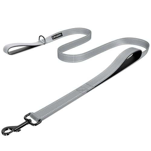 Dog Leash 4ft Long, Double Handle Dog Leash for Safety Control Training, Heavy Duty Dog Leads with Traffic Padded Handles, Reflective Leashes for Small Medium Large Dogs(4ft, Grey) - color: Grey, size: 4ft