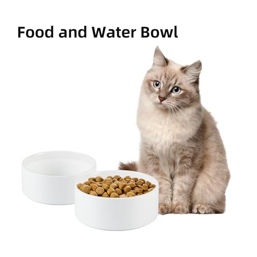 Havniva 5.1” Dog Bowl Ceramic Dog Food and Water Bowl Set of 2, Durable Dog Water Bowl with Non-Slip Rubber Base Large Capacity Feeding Dishes for Small Dogs - color: Matte White, size: 5.1 Inch