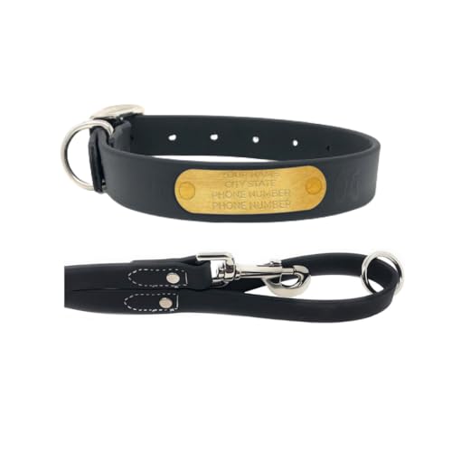 Regal Dog Products Medium Black with Custom Engraved Waterproof Dog Collar and Leash Set | Waterproof Dog Collar with Double Buckle & D Ring - 5'ft Leash | Matching Dog Collar and Leash for Dogs - color: Black, size: Medium Collar with leash