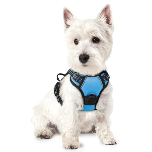 rabbitgoo Dog Harness No Pull with 2 Leash Clips, Adjustable Soft Padded, Reflective Oxford No Choke Pet Vest with Easy Control Handle for Puppy, Blue, XS - color: Blue, size: X-Small