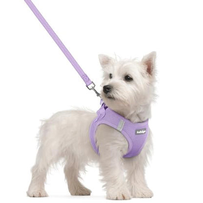 rabbitgoo Dog Harness Small Sized and Leash Set, Step in Soft Light Puppy Vest, Breathable Mesh Pet Harness, Reflective for Safe Easy Walking, Light Purple S - color: Light Purple, size: S (chest: 15.1 - 16.5")
