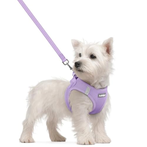 rabbitgoo Dog Harness Small Sized and Leash Set, Step in Soft Light Puppy Vest, Breathable Mesh Pet Harness, Reflective for Safe Easy Walking, Light Purple S - color: Light Purple, size: S (chest: 15.1 - 16.5")
