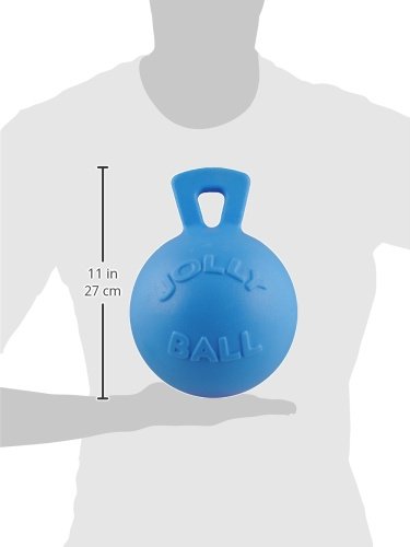 Jolly Pets Tug-n-Toss Heavy Duty Dog Toy Ball with Handle, 8 Inches/Large, Blueberry - color: Blueberry, size: Large (8 in)