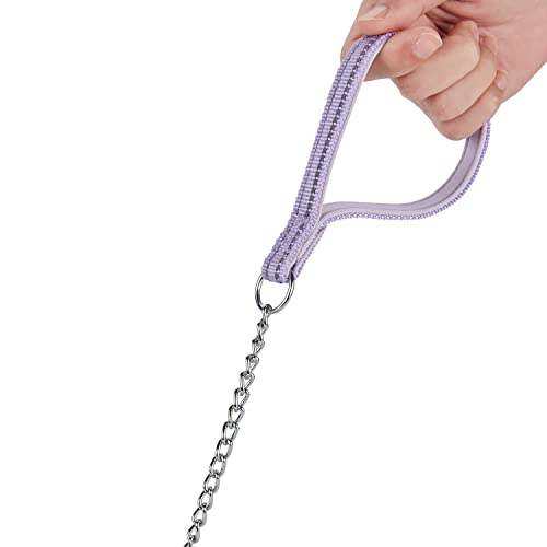 Chew Proof Metal Chain Leash,Nylon Handle with Soft Neoprene Padding and Reflective Stripe for Small Dogs.(S, Purple Handle) - color: Reflective Purple, size: Small