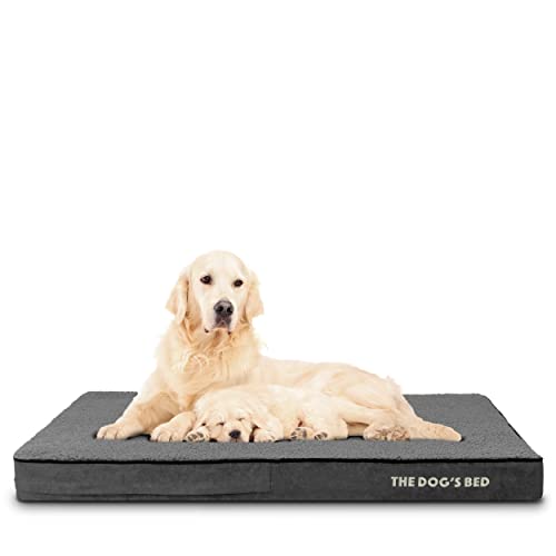 The Dog’s Bed Orthopedic Memory Foam Dog Bed for XL Dogs, Waterproof Washable Cover, Anti-Slip Base, Calming Surface – CertiPUR-Certified Foam, Grey Plush, 4 Inch Thick - color: Grey Plush, size: XL Beds (4" Deep)