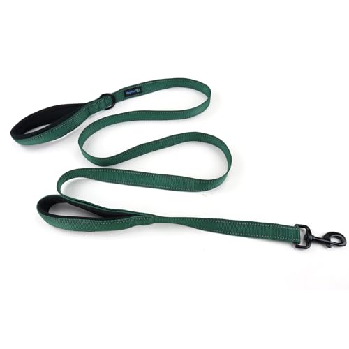 Wagtime Club Double Handle Dog Leash, 6ft Long Heavy Duty Dog Leash with Paded Traffic Handles for Extral Control and Training, Dual Handles Leads, Large Medium Small Dogs (Reflective Hunter Green) - color: Reflective Hunter Green