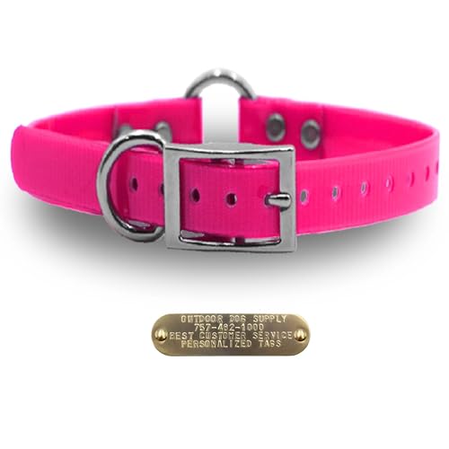 Outdoor Dog Supply 1" Heavy Duty Waterproof D-Ring & Center O-Ring Dog Collar for Medium & Large Dogs | Custom 3/4" Brass Nameplate (Pink, 21") - color: Pink, size: 21" Long