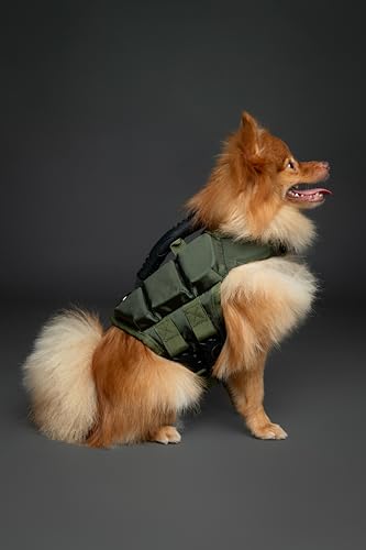 NOAH & PAW Dog Life Jacket, Human Standards Lifejacket Design, Dog Life Vest for Swimming and Boating, 3X Foam Support for Max Floating, Breathable Mesh, Salvavidas para Perros, Size S - size: S