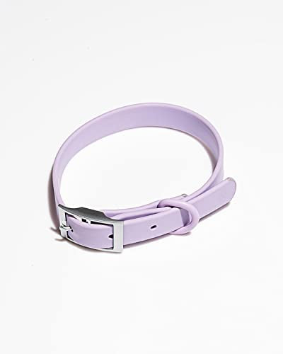 Wild One Dog Collar, Easy-Clean, All Weather Flex-Poly Strap with Metal, Durable, Dirt and Odor Resistant (Lilac, S) - color: Lilac, size: S