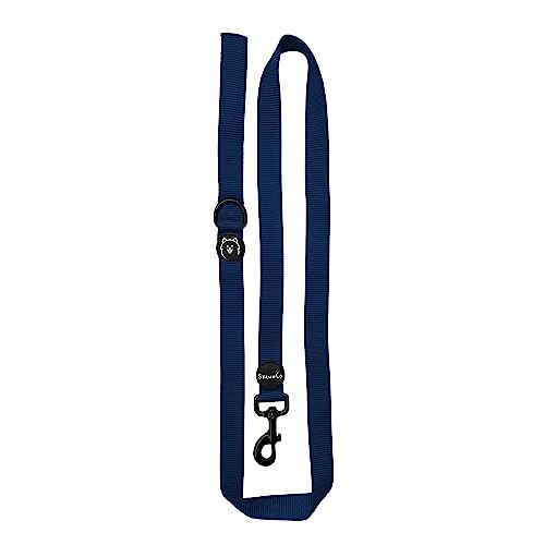 ShawnCo Dream Walk Dog Leash- Premium, Nylon Pet Leash with Soft Neoprene Handle for Small, Medium and Large Dogs (Pacific Blue, Small) - color: Pacific Blue, size: Small