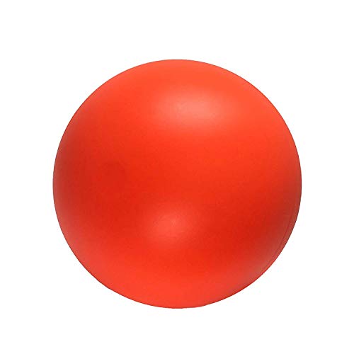Doggie Dooley Virtually Indestructible Dog Ball - 14 Inch Hard Plastic Interactive Dog Toy for Large Breeds Over 75+ lbs - Built for Herding & Push Play - Floats in Water, Made in USA -Colors May Vary - color: Assorted, size: X-Large (14 inch) (Pack of 1)