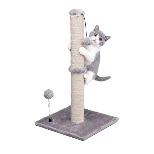 MECOOL Cat Scratching Post Premium Basics Kitten Scratcher Sisal Scratch Posts with Hanging Ball 22" for Kittens or Smaller Cats (22 inches for Kitten, Gray) - color: Gray, size: 22 inches for kitten