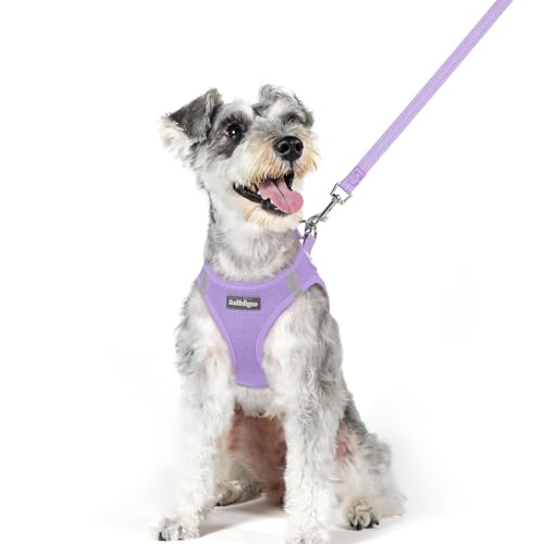 rabbitgoo Dog Harness Small Medium Sized and Leash Set, Step in Soft Light Puppy Vest, Breathable Mesh Pet Harness, Reflective for Safe Easy Walking, Light Purple XL - color: Light Purple, size: Xl (chest: 20 - 21.8")