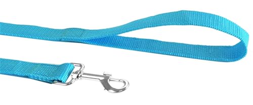 Nylon Dog Training Leash, Traction Rope, 4Ft /5 Foot /6 Feet Long, 5/8 inch 3/4 Inch 1 Inch Wide, for Small and Medium Dogs - color: Sky Blue, size: 1'' x 4 FT