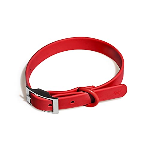 Wild One Dog Collar, Easy-Clean, All Weather Flex-Poly Strap with Metal, Durable, Dirt and Odor Resistant (Strawberry, M) - color: Strawberry, size: M