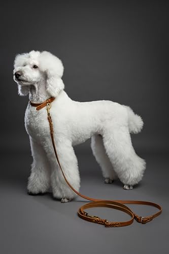 NOAH & PAW Leather Dog Leash, Premium Oil-Waxed Leather Braided, 8 ft Long Dog Leash with 6 Ways to Use Hands-Free, Quick-tie, Double Pet Lead Etc. Matching Collar Available. (Camel) - color: Camel
