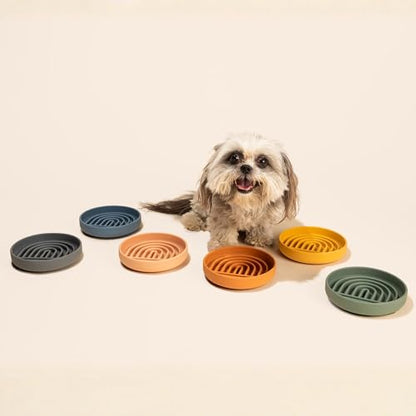 Should We Go? Slow Feeder for Dogs & Cats, The Slowdown Bowl Silicone Slow Eating Mealtime Solution with Modern Lick Mat Design, Reduces Gulping, Fits 1 Cup, 6” Across x 1.25” Tall, Small-Honey - color: Honey - Rainbow Design, size: Small (6” Across x 1.2