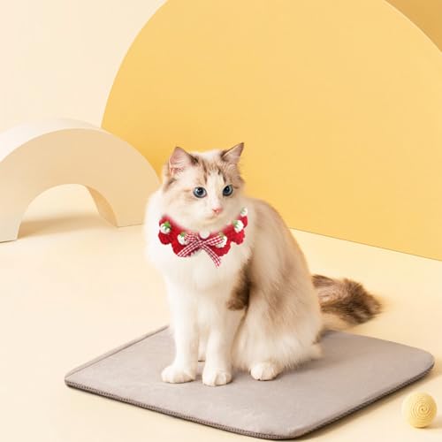 Cat Collar Breakaway, Kitten Collar with Cute Bow Tie and Strawberry Pattern Comfortable for Kitty and Small Puppies, Bandana Fits Neck 2-3 Inches(S)(red) - color: red