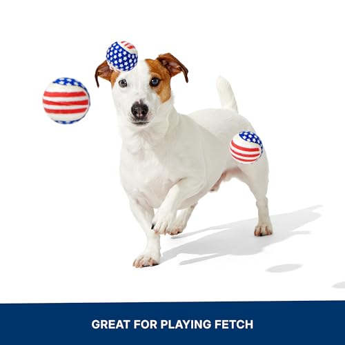 Barkbox Fetch of July Rubber Tennis Balls for Dogs & Puppies | Patriotic Trio of Squeaky Fetch Balls for Bounce, Chase & Play | Durable, Festive & Fun for Playful Pups - color: Fetch of July