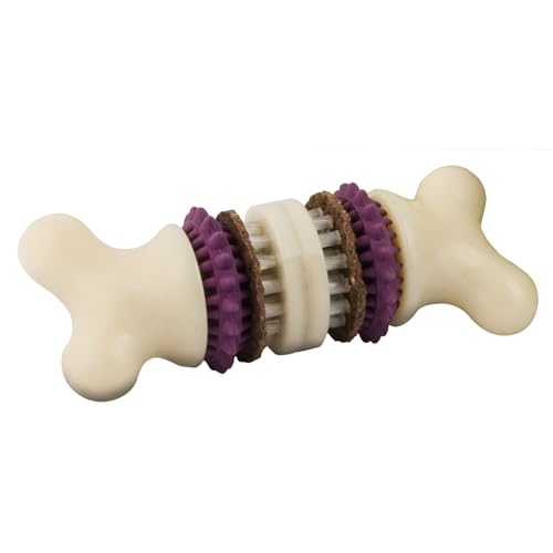 PetSafe Busy Buddy Bristle Bone Dog Chew Toy - Treat Holding Toothbrush Toy for Hard Chewers - Helps Keep Your Dog's Teeth Clean - Durable, Interactive - Purple, Large - size: Large, style: Bristle Bone
