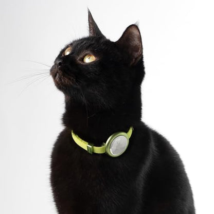 Safety Cat Collar Pro - U.S. IDA Gold Awarding Design, Elastic Quick Release Cat Collar with Buckle Non Breakaway - Lightweight for Kitten All Small Large Cats (Space Gray, S 5.9-11.8") - color: Space Gray, size: S 5.9-11.8"