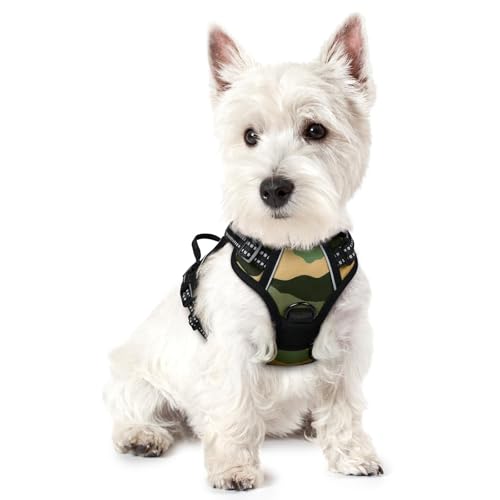 rabbitgoo Dog Harness No Pull with 2 Leash Clips, Adjustable Soft Padded, Reflective Oxford No Choke Pet Vest with Easy Control Handle for Large Dogs, Green Mountain,XS - color: Green Mountain, size: X-Small