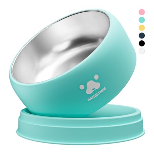 PAWGETHER® Stainless Steel Dog Bowls, Dog Food Water Bowl with Non-Slip Base Two-Piece Design Easy Clean Dishwasher Safe Mint Green 34oz + 12oz - color: Mint Green (34oz + 12oz)