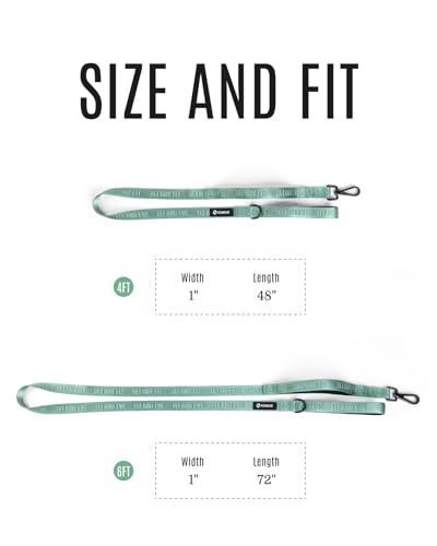 Fei & Eve Classic Dog Leash - 6FT, Dual Padded Handles, 360° Swivel Hook, Heavy Duty 210D Nylon - No-Pull Design with Traffic Control Handle - for Small/Medium/Large Dogs, Green - color: Glacier Green, size: 6FT