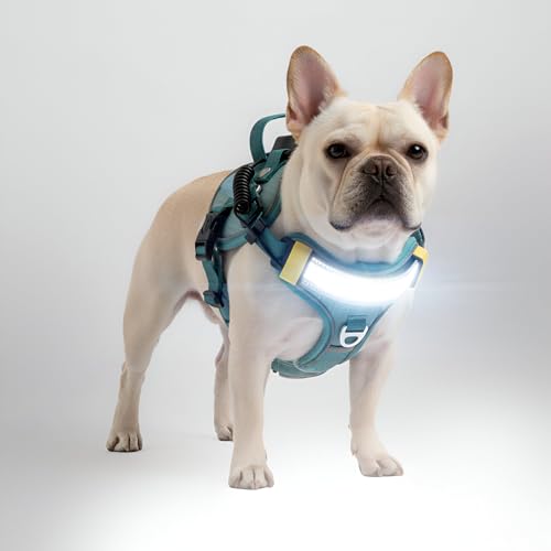 Lumi One LED Dog Harness for Night Visibility and Safety, Patent Pending – Light-Up Dog Vest, Reflective, Adjustable, Rechargeable, Durable, High-Visibility Pet Gear (Teal Blue, Extra Large) - color: Blue, size: Extra Large