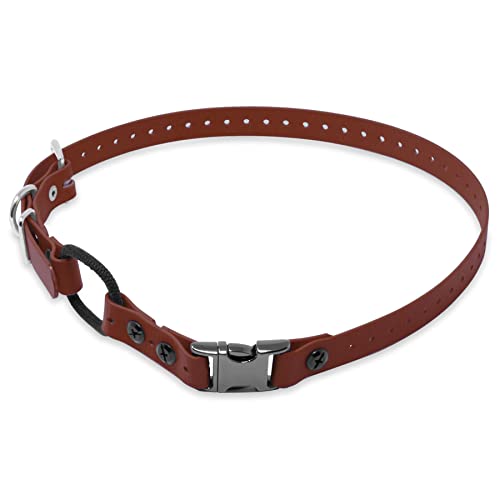 Educator 3/4-Inch Dog Training Collar Strap–ONLY Fits ME-300, ET-300/400, EZ-900, PE-900 & PG-300 Receivers – NOT Compatible with FE-580, ET-800 or UL-1200–Quick Snap Biothane Bungee Collar, Brown - color: Brown
