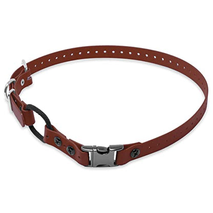 Educator 3/4-Inch Dog Training Collar Strap–ONLY Fits ME-300, ET-300/400, EZ-900, PE-900 & PG-300 Receivers – NOT Compatible with FE-580, ET-800 or UL-1200–Quick Snap Biothane Bungee Collar, Brown - color: Brown
