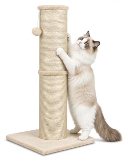 Sisal Cat Scratching Post for Indoor Cats & Kittens, 5.5" Diameter Heavy Duty Vertical Scratcher, 32 Inch Extra Tall Furniture Protector with Stable Base, Beige - color: Cylinder Beige