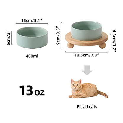 Havniva Raised Cat Bowls Water Bowl 5.1” Elevated Ceramic Cat Food and Water Bowl Whisker Friendly Pet Food Bowls for Indoor Cats, Wide Cat Water Dish Prevent Whisker Fatigue Non Slip Cat Feeder - color: 1 x Bowl + Stand - Light Green