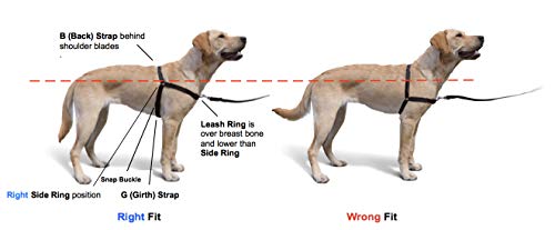 The Original Sense-ation No-Pull Dog Training Harness (Black, Medium-Large Wide)