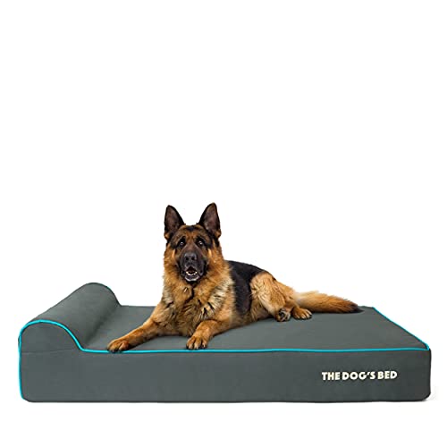 The Dog’s Bed Orthopedic Memory Foam Dog Bed with Headrest, Calming Surface – CertiPUR-Certified Foam, Oxford Fabric, Grey with Blue Trim, XL, 6-Inch - color: Grey with Blue Trim, size: XL (6" deep)