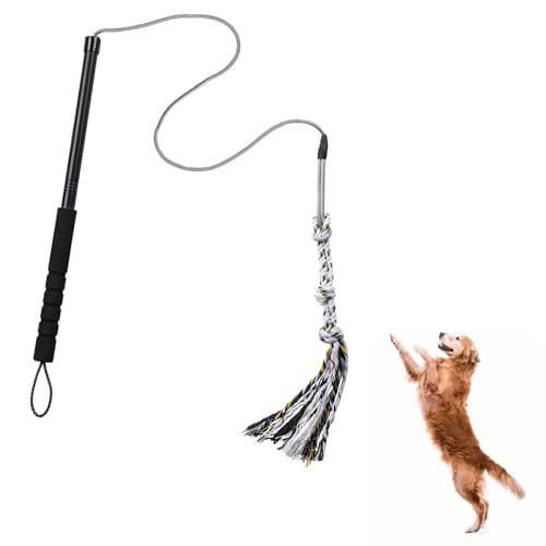 Pragmatist Outdoor Flirt Pole for Dog, Detachable Dog Flirt Pole Heavy Duty Sturdy Pet Toys for Outdoor Exercise & Training Durable Teaser Wand Interactive Toy for Small Medium Large Dogs, Black
