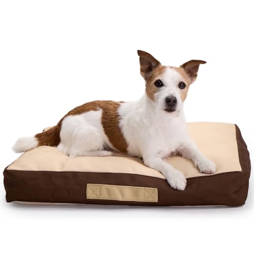 Rawry Orthopedic Dog Bed | Memory Foam Dog Bed with Handle | Water-Resistant, Machine Washable Cover | Floor Cushion for Cats, Dogs & People - Tan/Brown (Small - 24" x 18") - size: Small